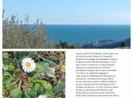 TraMonti e Mare, vista mare giardino, la casa che in ogni stagione si trasforma!