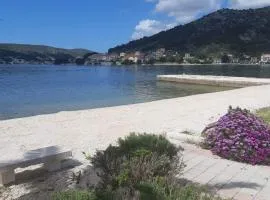 Apartmani Šain