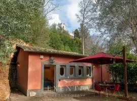 Exentia Stays - Private Garden Villa with Jacuzzi near Spanish Steps, Via Margutta - Rome