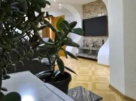 Teo FAMILY APARTMENT TUZLA