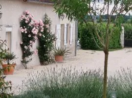 Gîte Rural au Cœur du Berry avec Terrasse et Chevaux Bienvenus - FR-1-591-733