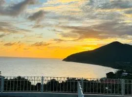 NaboBlue Ocean View Apartment Maunabo PR