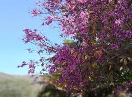 Pousada do Nondas, Hotel mit Pools in Nobres