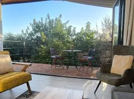 The Zephyr House -2-