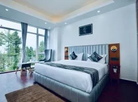 Hotel Naina dharamshala