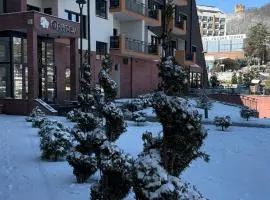 Fruške 202 studio apartman