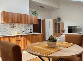 Penthouse by the park