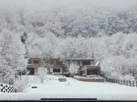 Panoramic Kub Sucevita