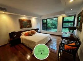 La Kaz' Bougainvilliers