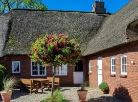 Thatched House On A Warft Near Schlüttsiel
