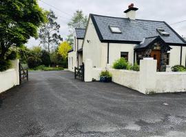 Small studio with 1 double bed en-suite, hotel a Birdhill