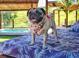 Villa Ayê Socorro SP - Pousada Petfriendly