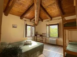 B&B Agriturismo Montepolo