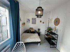 Le Sano - centre ville - wifi