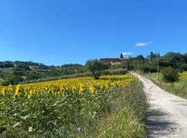 Luxury Villa Spoleto