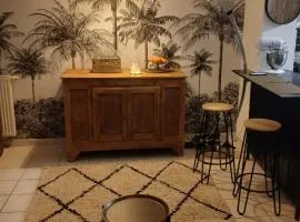 Maison cozy sud Ardèche