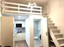 Small studio with loft bed