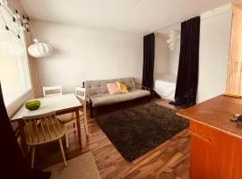 Sankt Eskils apartment