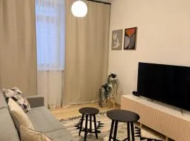 Cosy quiet apartment in the city center