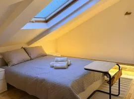 Cosy quiet apartment in the city center