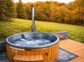 Leśna Muzyka Apartment Limanowa