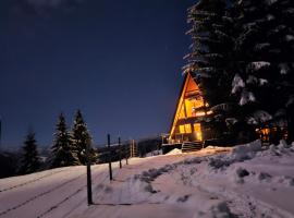 Cabana Corbilor The Raven's Hut, Hotel in Vatra Dornei