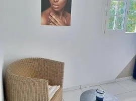 Studio moderne avec terrasse privée à Morne-à-l'Eau