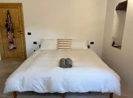 Vineyard Farmhouse in Massignano