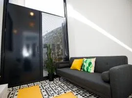 GET a Cactus and Books studio