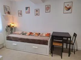 Jeny 1 - Studio rénové tout confort - RDC - Wifi - 10mn Hypercentre