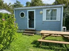 Mobil-Home 2 pers à Angicourt - API-1-52-1687