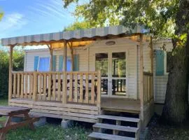 Mobil-home 6 personnes avec terrasse - API-1-52-1710