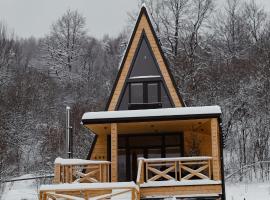 Zelemin House, hotel a Skole