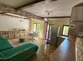 Apartament cu 4 dormitoare, 3 locuri de parcare si gradina in Iasi