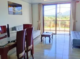 Apto 202 Apartahotel Los Pinos