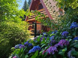 Brod na Kupi에 위치한 호텔 Twin Forest, riverside cabin