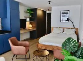Fully Furnished Studio Apartment in Greystar Somma