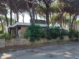 La Casa dei Pini