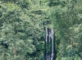 Munduk Tutub Waterfall View Guest house
