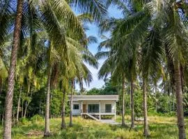 The Coconut Villa