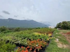 Bougain Villea Hillretreat