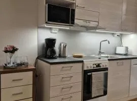 Yksiö yliopiston kampuksella