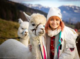 Bergbauernhof Stauder - Hirschbergalpakas