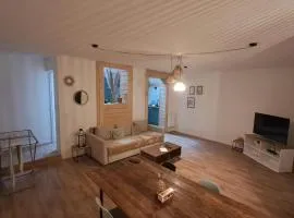 Centre Ville - appartement de caractère- baignoire Balneo