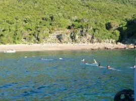 ZEcamping 2 piscine animaux acceptés