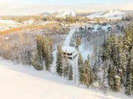 Luxury Villa Joutsenranta by the lake