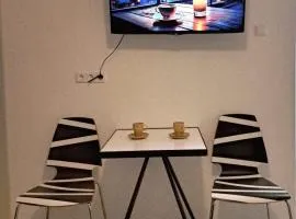 Newly renovated apartment in quiet center with parking