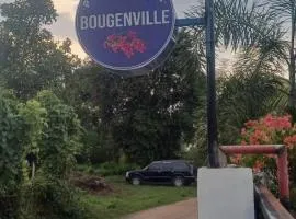 BougenVille