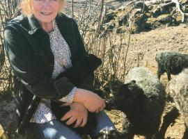 Henneviken BnB, ξενοδοχείο σε Ed