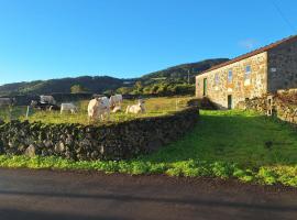 Mājdzīvniekiem draudzīga viesnīca Adega do capitao pilsētā Piedade